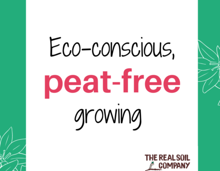 The Real Soil Company is at the root of eco-conscious, peat-free growing